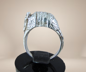 Armadillo 3d zilveren ring beige achtergrond 4