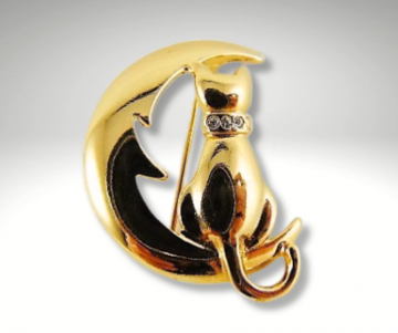 Kat op maan strass broche pr 2