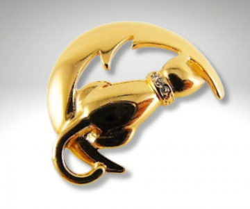 Kat op maan strass broche pr 3