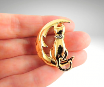 Kat op maan strass broche pr