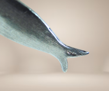 Massief zilveren satijnfinish vis hanger modernist beige achtergrond