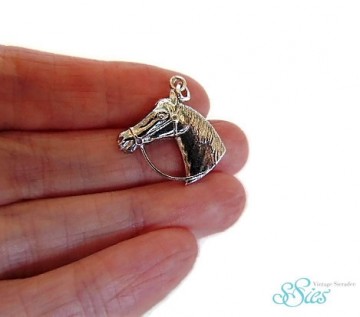 Paardenkophangerbedel1