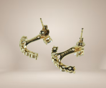 Verguld zilveren anker oorbellen zirkonia beige achtergrond 1