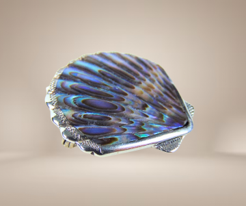 Zilveren abalone schelp broche beige achtergrond 1