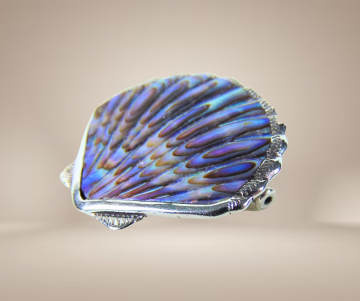 Zilveren abalone schelp broche beige achtergrond 2