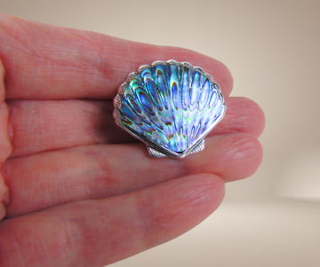 Zilveren abalone schelp broche beige achtergrond 3