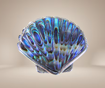 Zilveren abalone schelp broche beige achtergrond 4