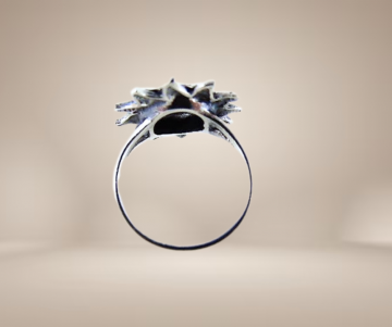 Zon ring zilver beige achtergrond